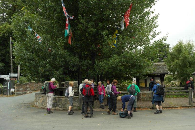 {short description of image}