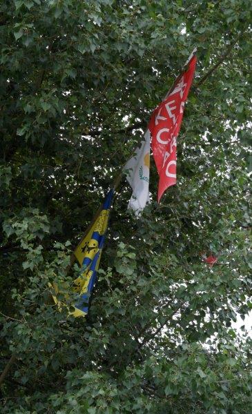 {short description of image}