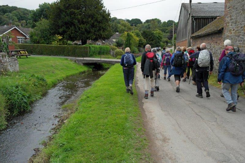 {short description of image}