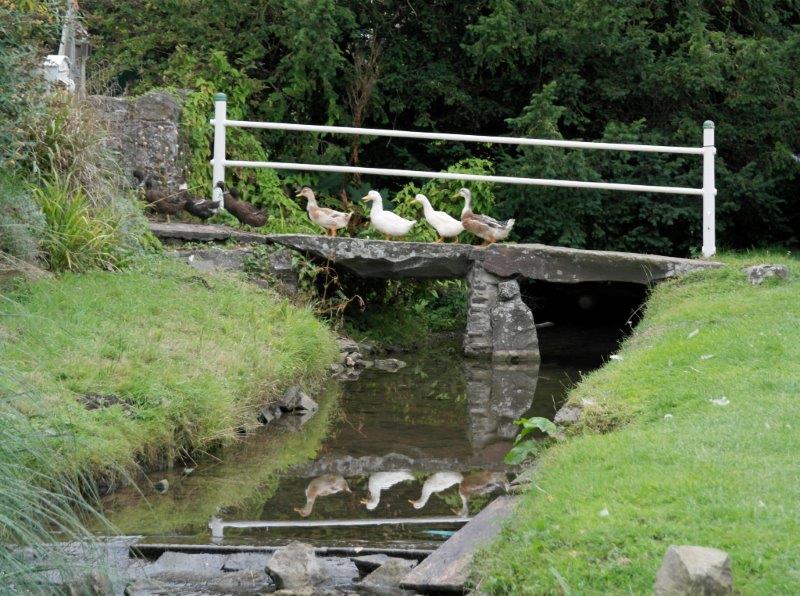 {short description of image}