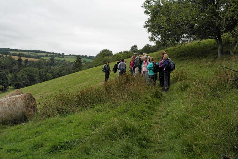 {short description of image}