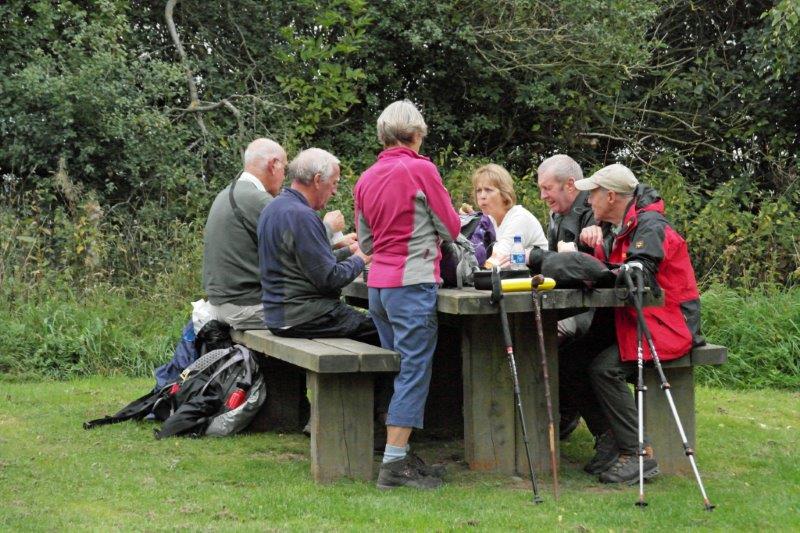 {short description of image}