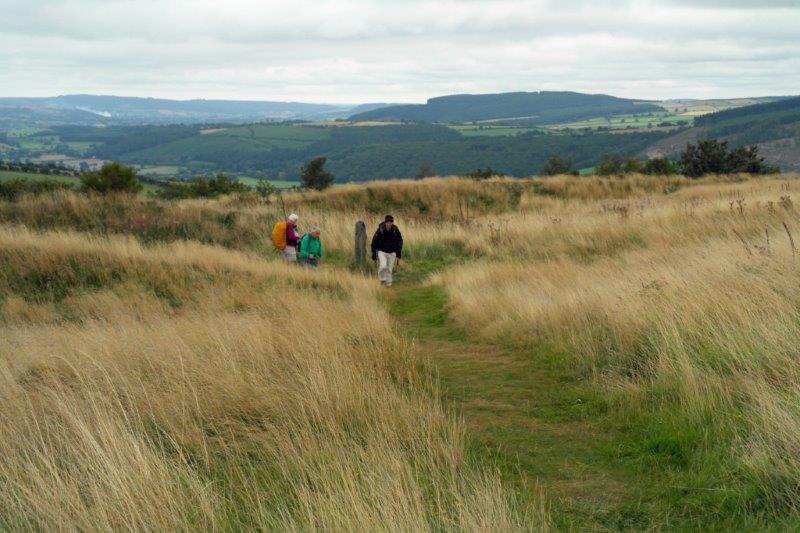 {short description of image}