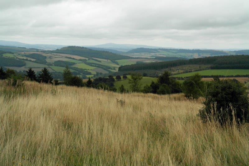 {short description of image}