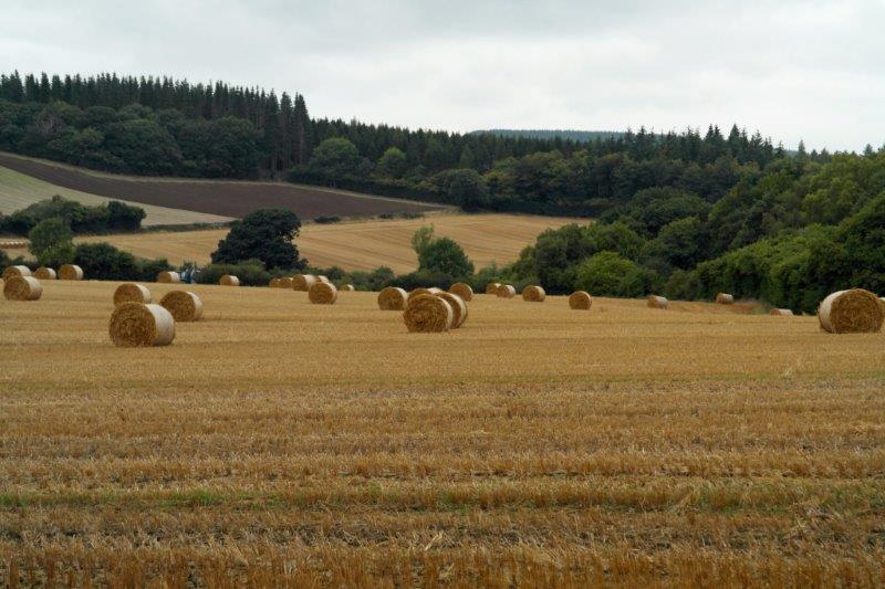 {short description of image}