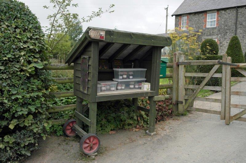 {short description of image}