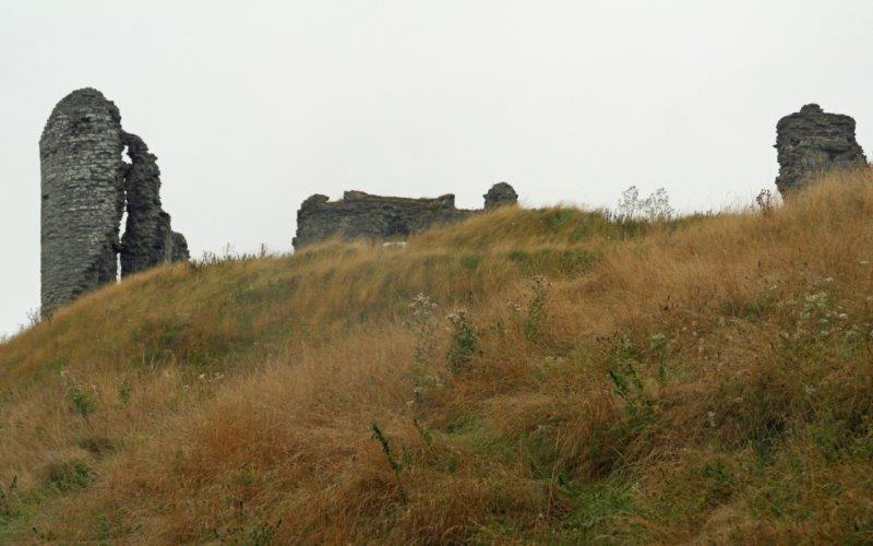 {short description of image}