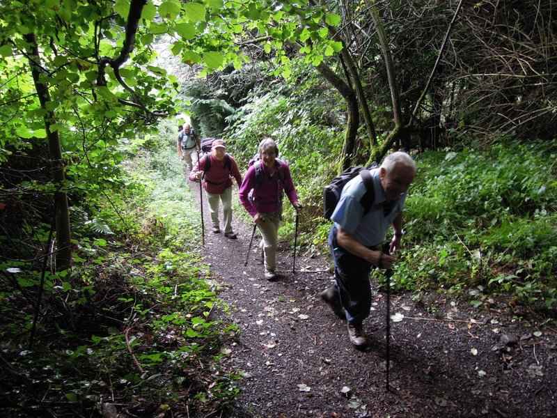 {short description of image}