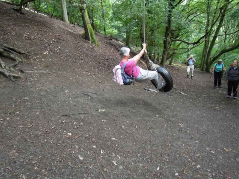 {short description of image}