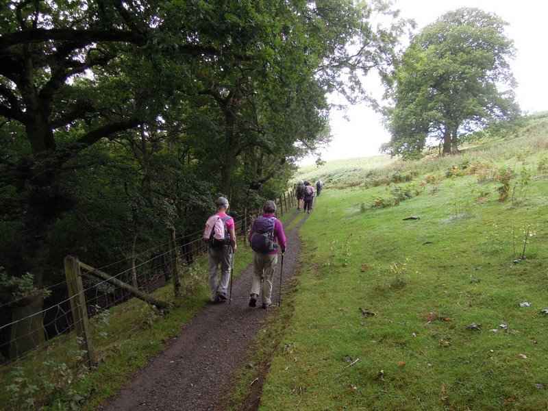 {short description of image}