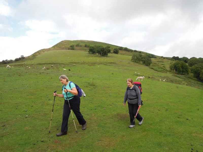 {short description of image}