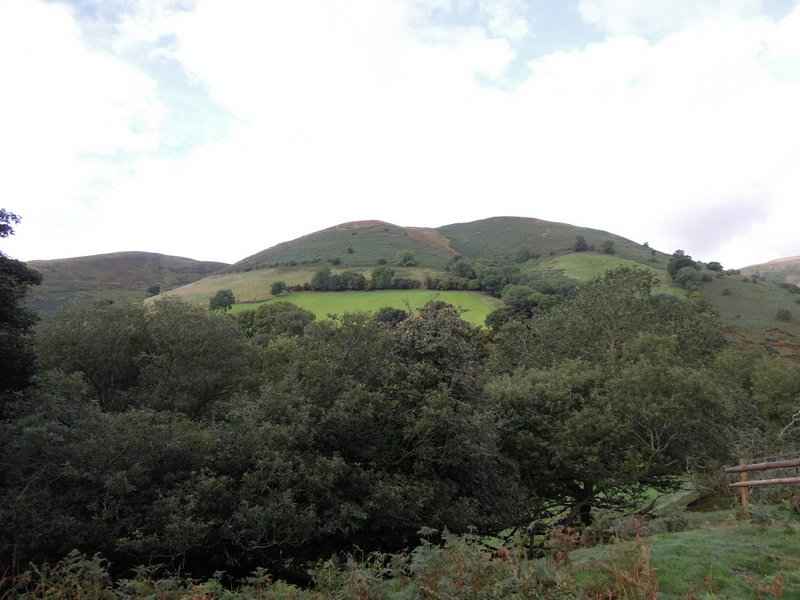 {short description of image}