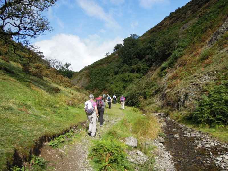 {short description of image}