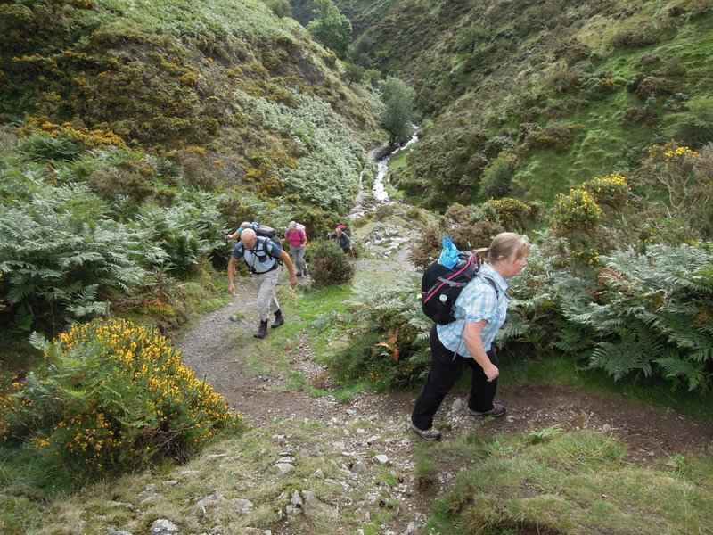 {short description of image}