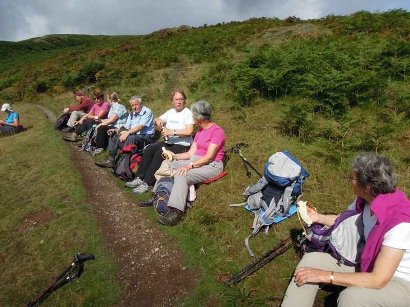 {short description of image}