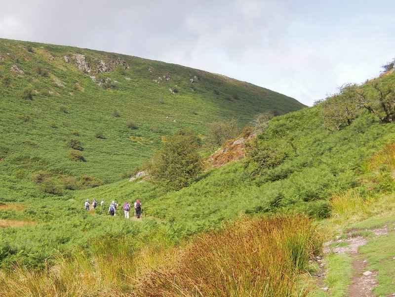 {short description of image}