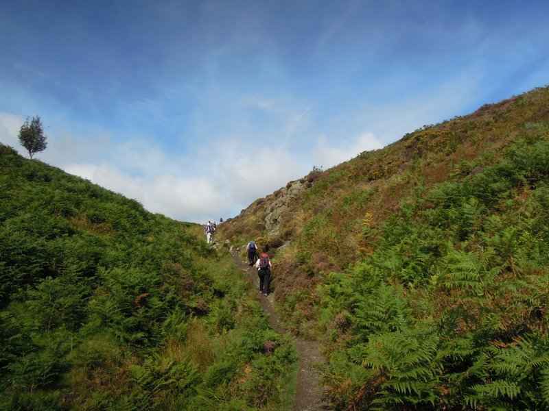 {short description of image}