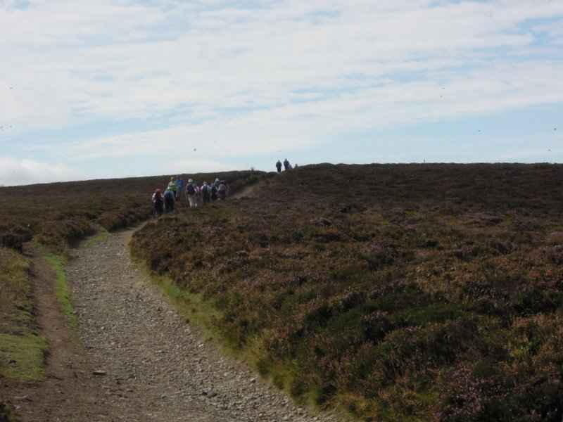 {short description of image}