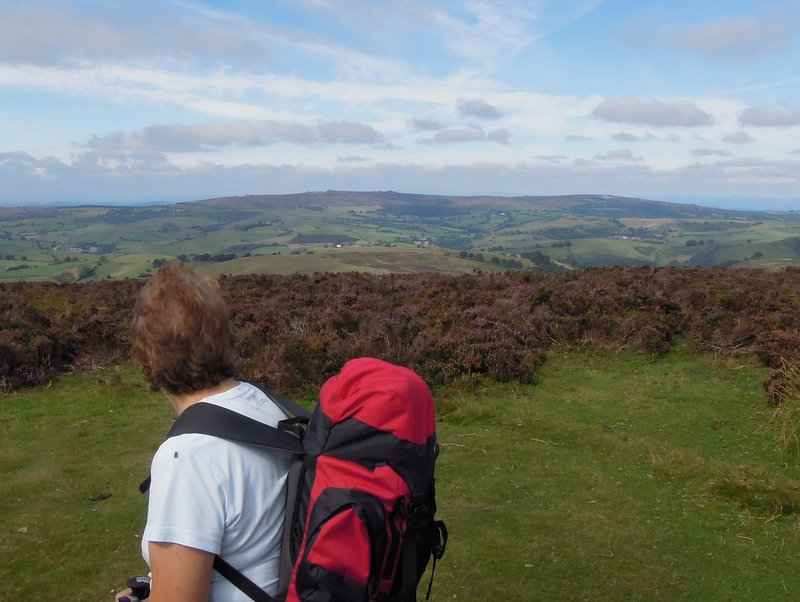 {short description of image}