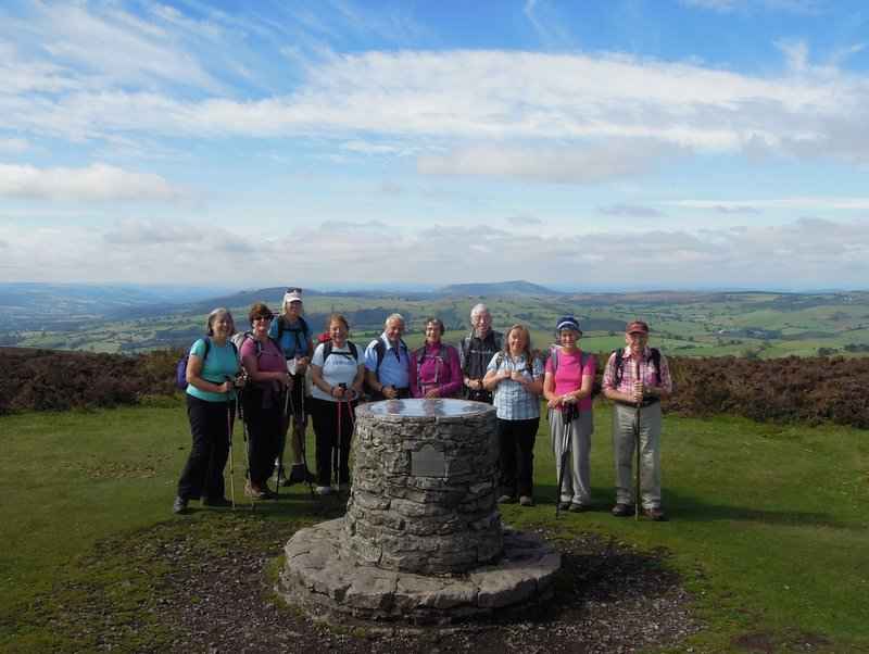 {short description of image}