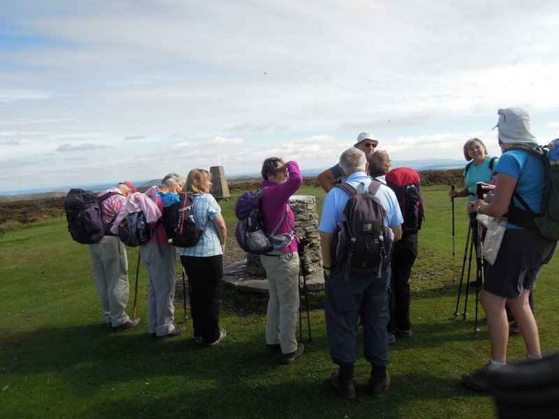 {short description of image}