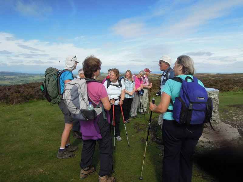 {short description of image}