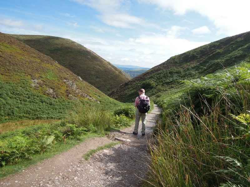 {short description of image}