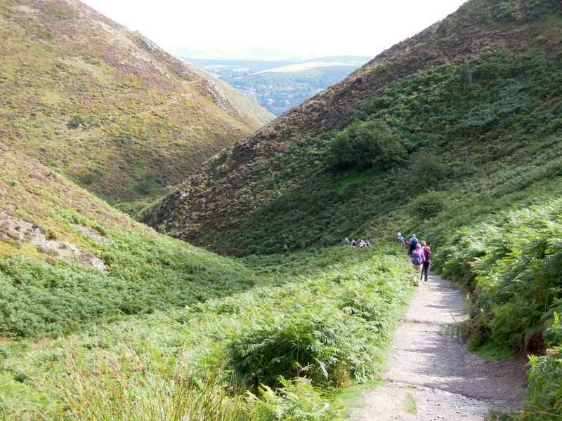 {short description of image}