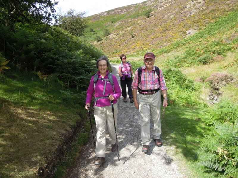 {short description of image}