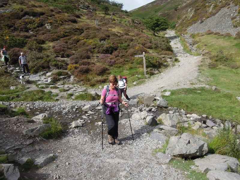 {short description of image}