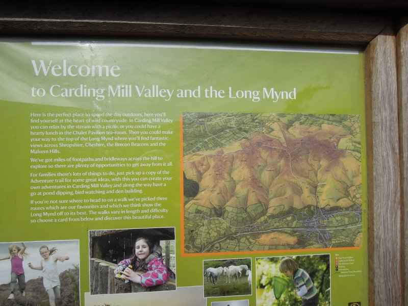 {short description of image}