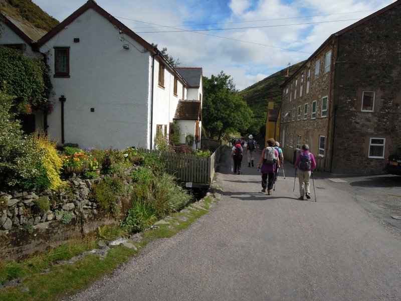 {short description of image}