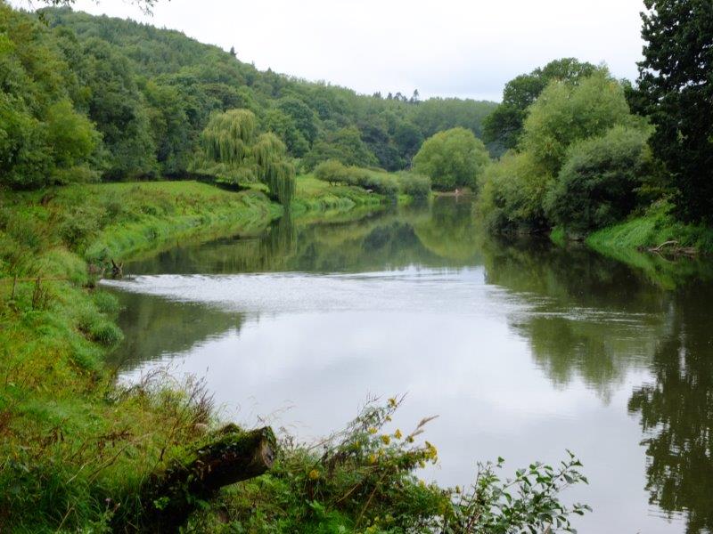 {short description of image}