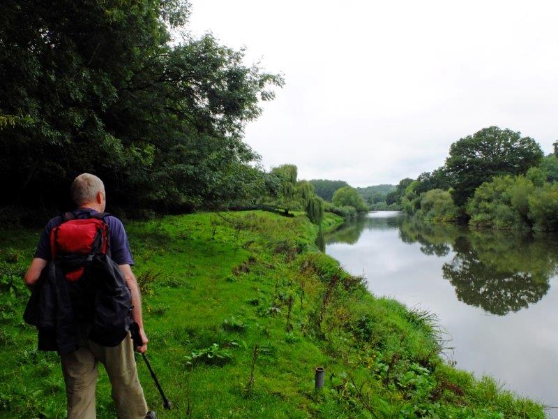 {short description of image}