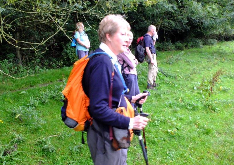 {short description of image}