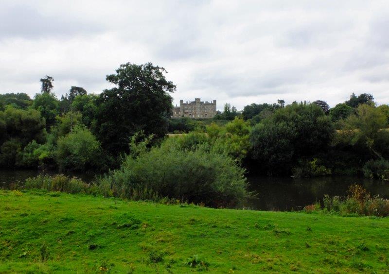 {short description of image}