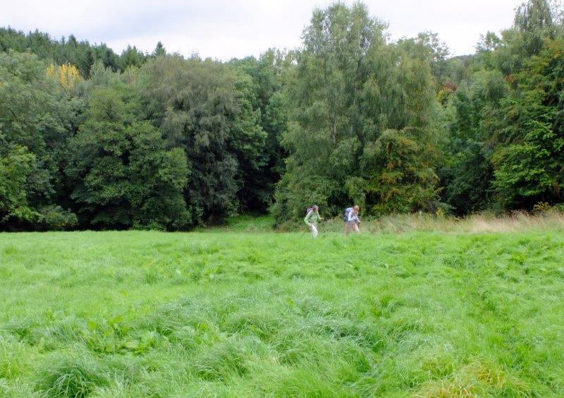 {short description of image}