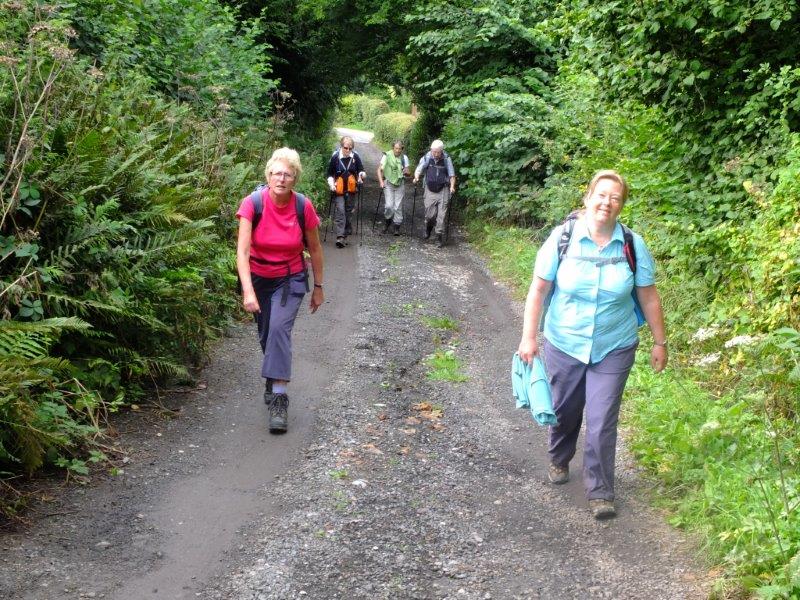 {short description of image}