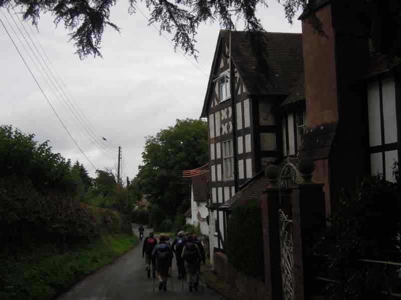 {short description of image}