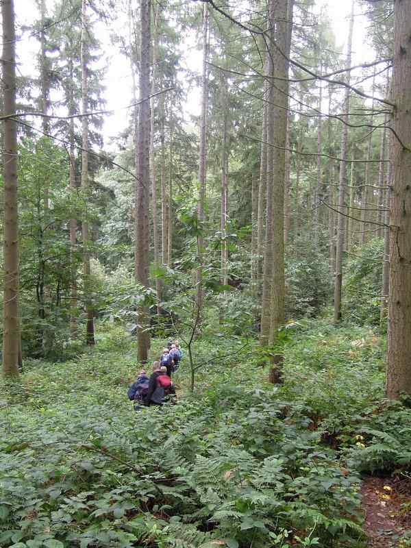 {short description of image}