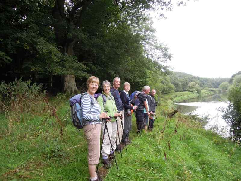 {short description of image}