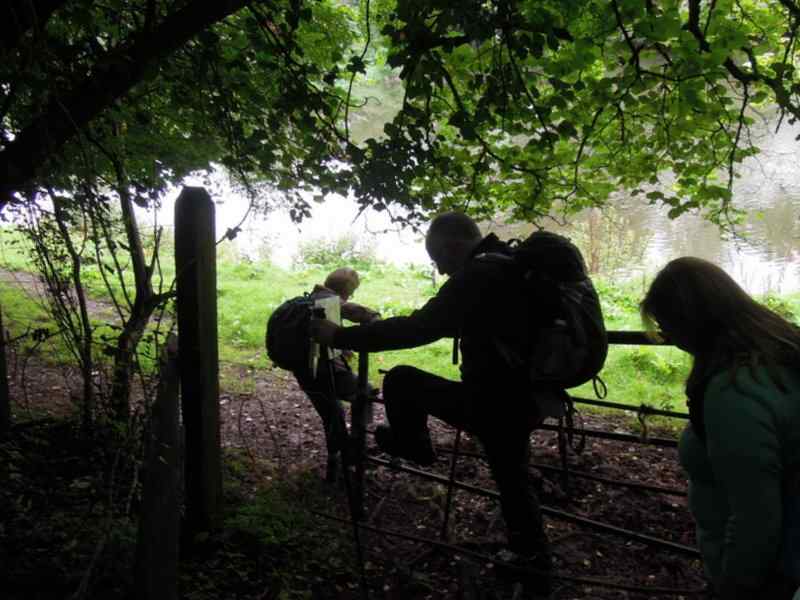 {short description of image}