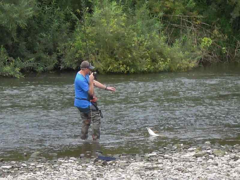 {short description of image}