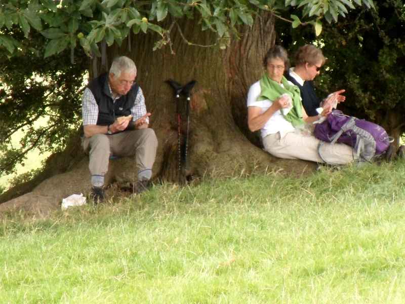 {short description of image}