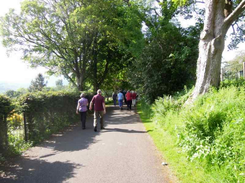 {short description of image}