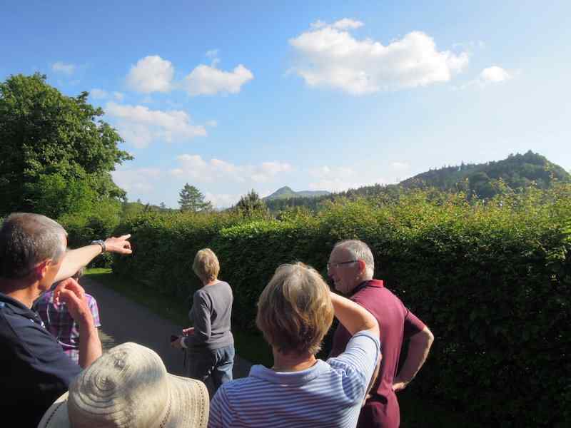 {short description of image}