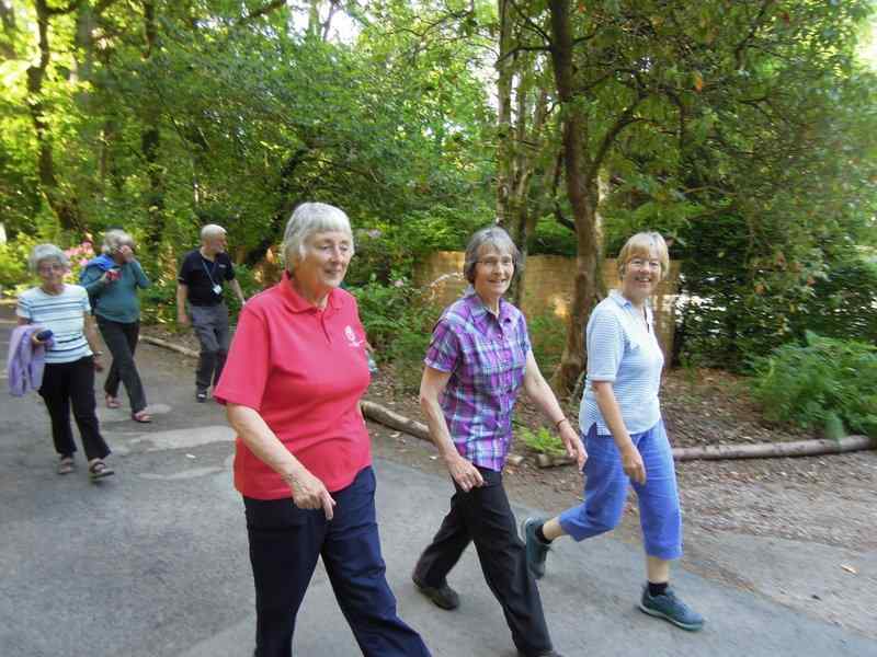 {short description of image}