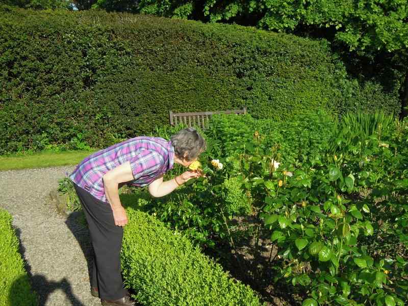 {short description of image}