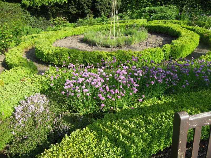 {short description of image}