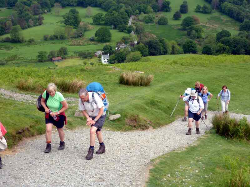 {short description of image}